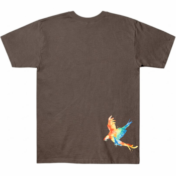 Karol G Latina Foreva Brown Star T-shirt